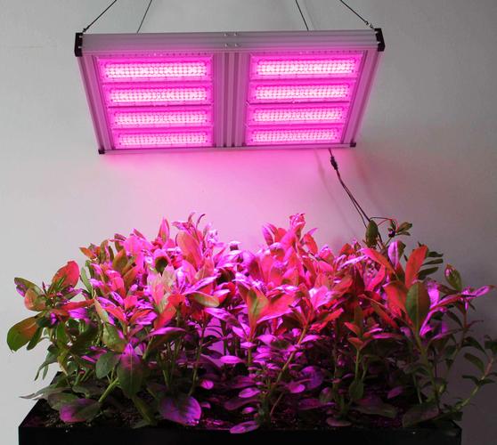 led植物照明灯,生长植物灯套件480w,生长植物灯.720.960.1200